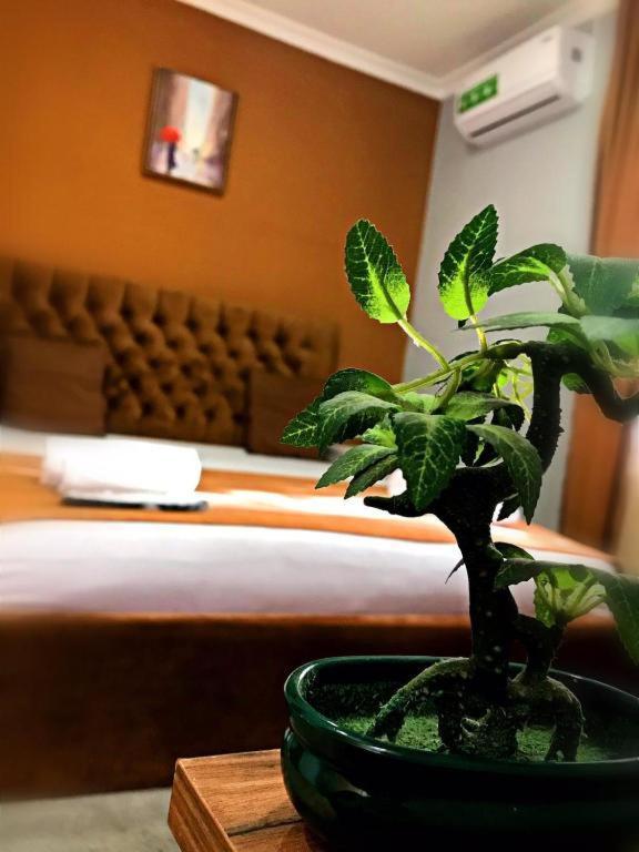 Geo Hotel Tbilisi ภายนอก รูปภาพ
